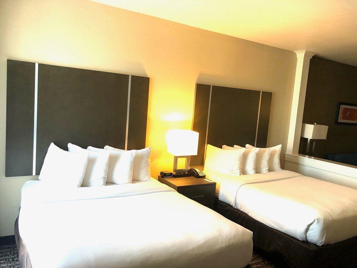 Comfort Suites Near Sam Houston Race Park Jersey Village Esterno foto